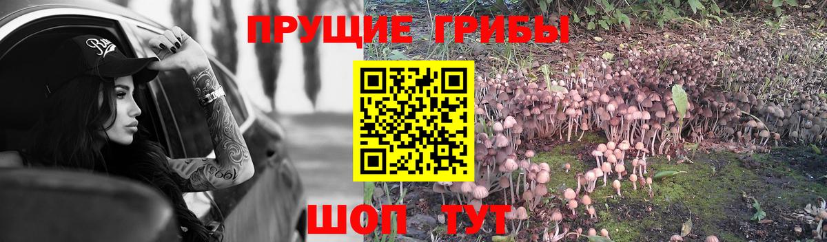 Псилоцибиновые грибы MAGIC MUSHROOMS  Вход с VPN  Бирск 